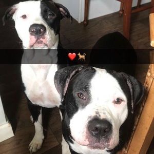 Meet your Posher, Abraham